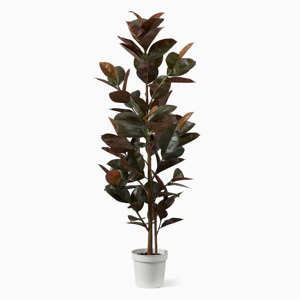 Faux Potted Rubber Tree West Elm Australia